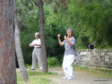 Tai chi